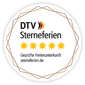 DTV Logo