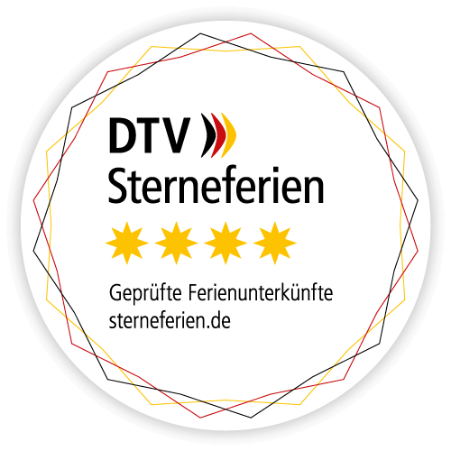 DTV Logo